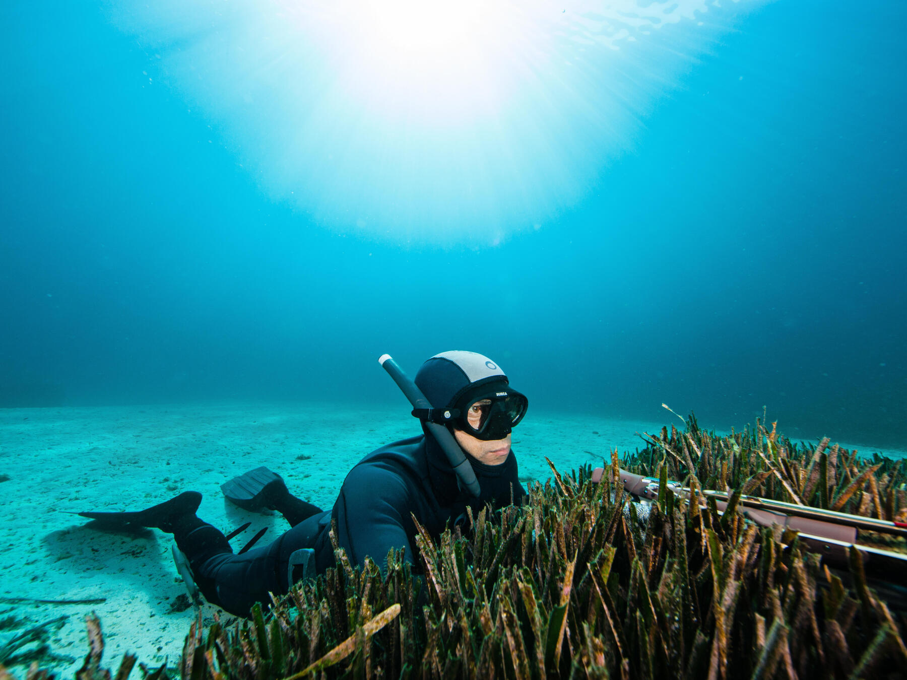 Gazebo Parts Direct Sales Store -Équipement De Plongé Soldes 2024 tailles rA9glementaires chasse sous marine subea decathlon