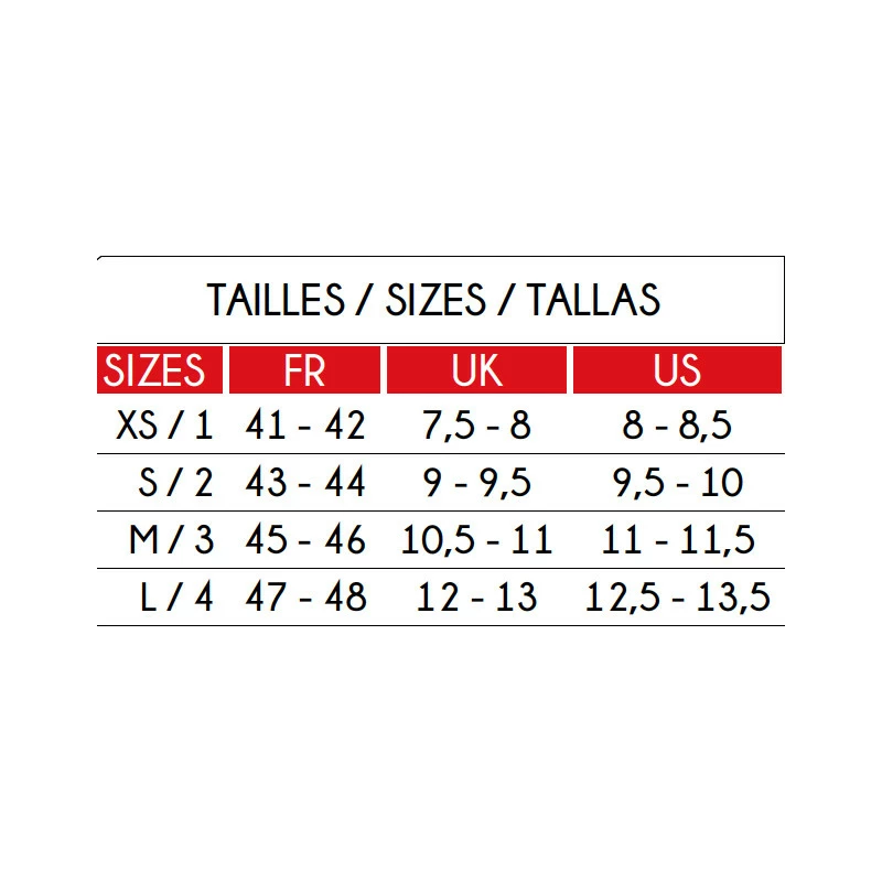 Palmes VEGA EPSEALON 4 Palmes VEGA EPSEALON – Image 3